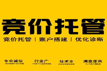 成功案例：SEM托管代运营助力业务增长
